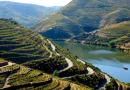 Douro Cidade Europeia do Vinho para o Mundo