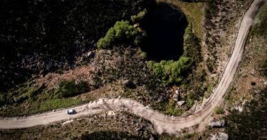 Primeiro líder do Aboboreira veio da Estónia